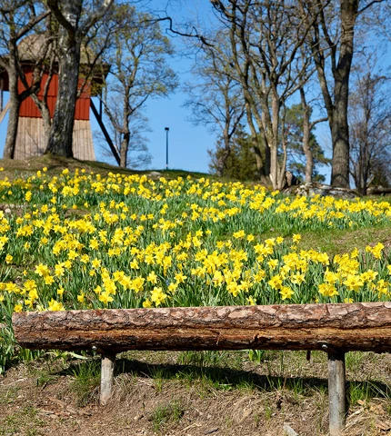 Sigtuna klockbacken.