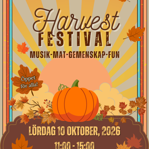 artikel bild