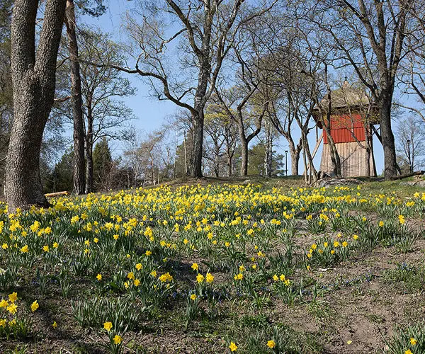 Sigtuna Klockbacken Vår Destination Sigtuna