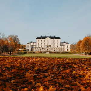 artikel bild
