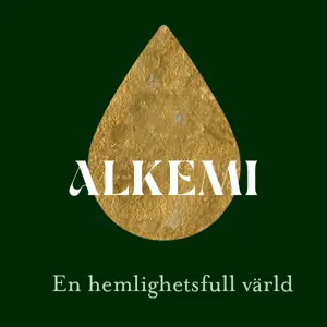 artikel bild