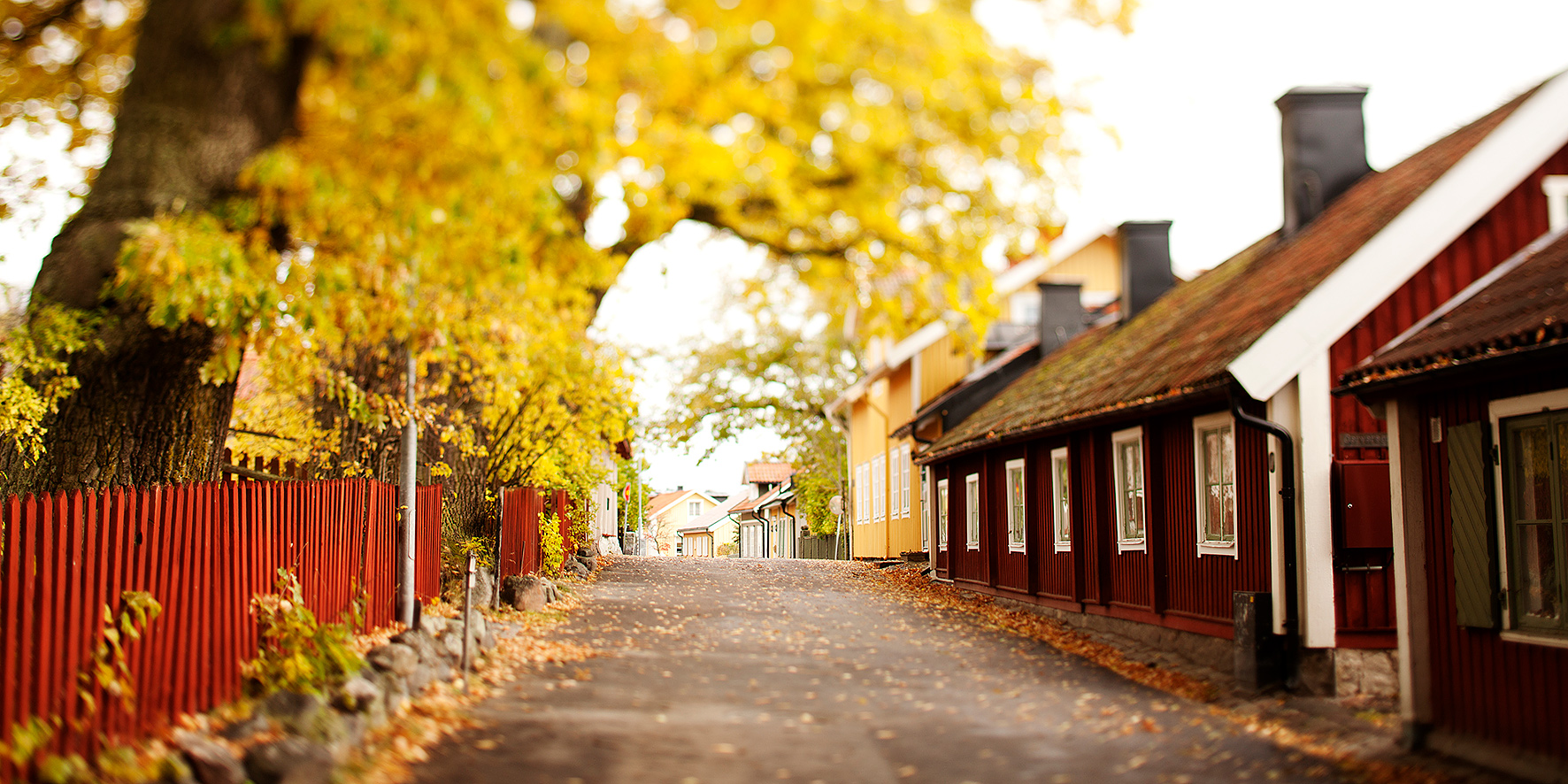 Sigtuna Malmgatan på hösten