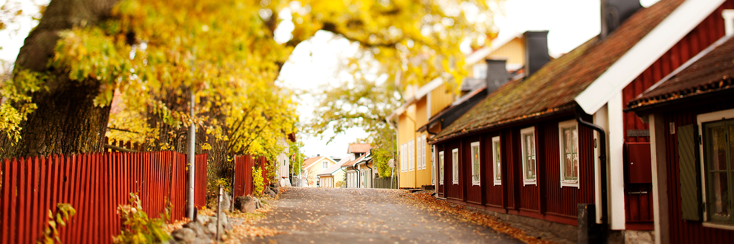 Sigtuna Malmgatan på hösten