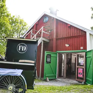 artikel bild