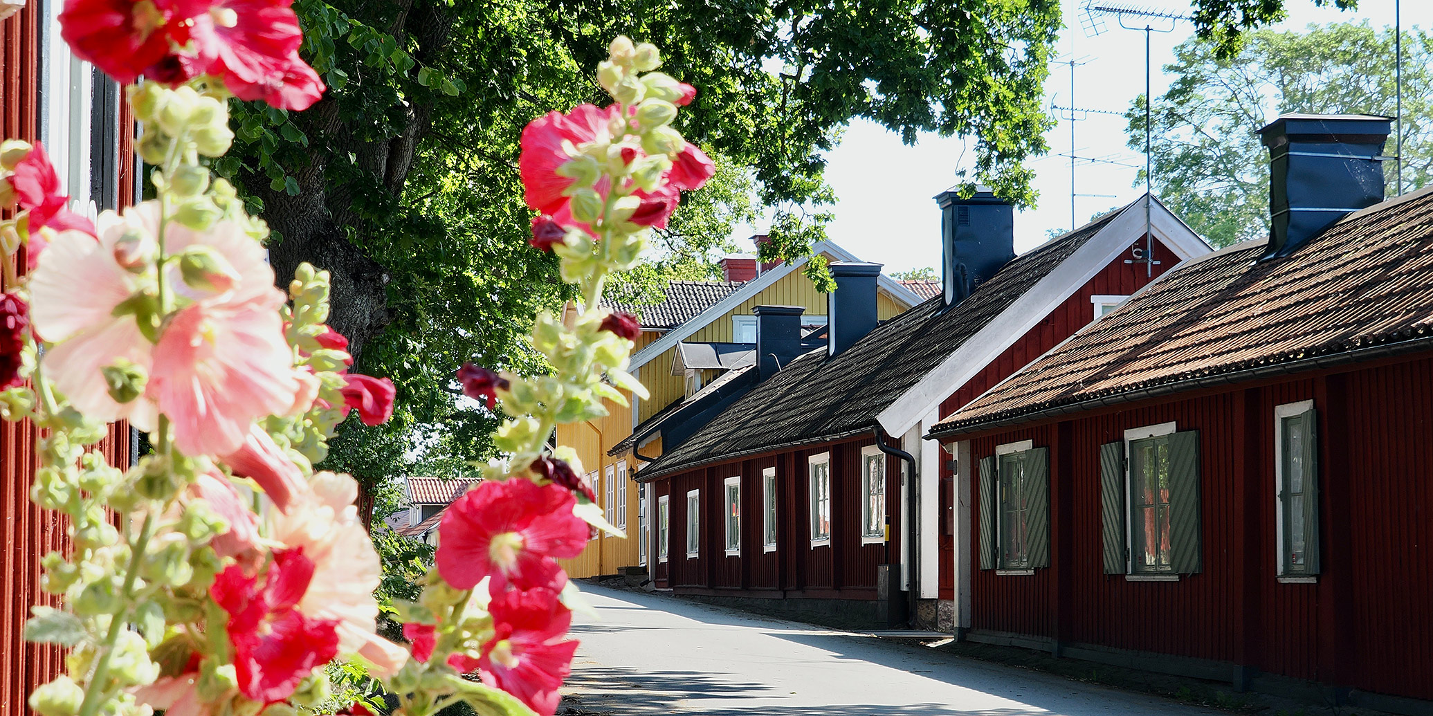 Sigtuna sommargata.