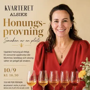 artikel bild