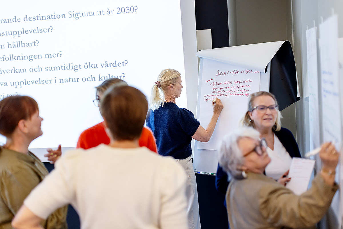 B2B Möte Konferens Rosie Alm (4) Webb