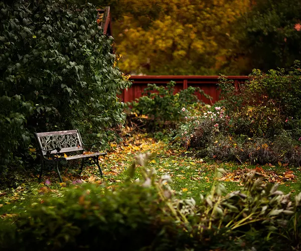 Sigtuna Höst Park Med Bänk Linus Hallgren Webb