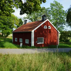 artikel bild