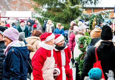 Sigtuna Julmarknad_Tomtemor & Tomtefar_2019_Frida Lenholm webb