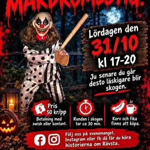 artikel bild