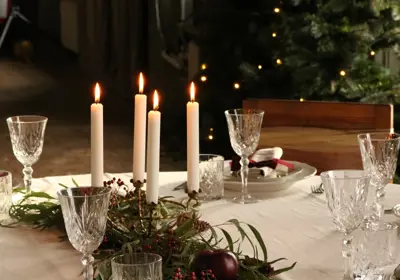 Sigtuna Wenngarns Slott Julbord (2)