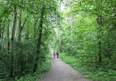 Märsta_Steningedalen_Destination-Sigtuna-(5)_webb