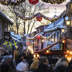 artikel bild