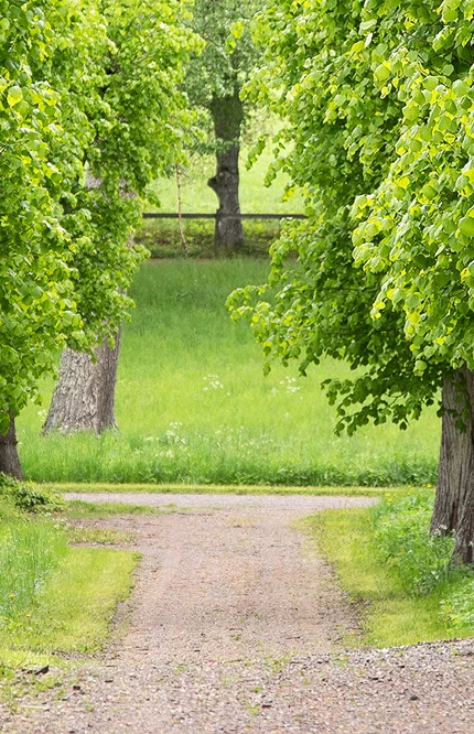 Ingegerdsleden etapp 4 Rosersberg till Sigtuna