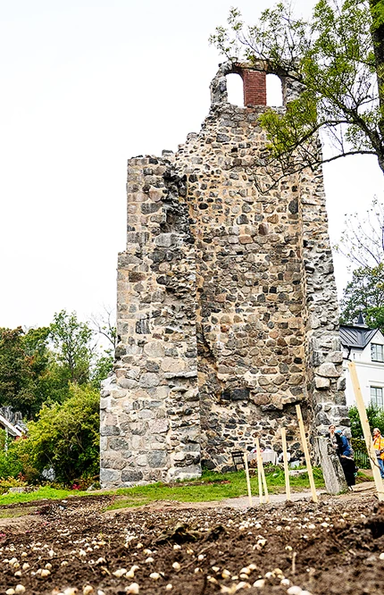 St Lars Ruin Sigtuna vårlökare