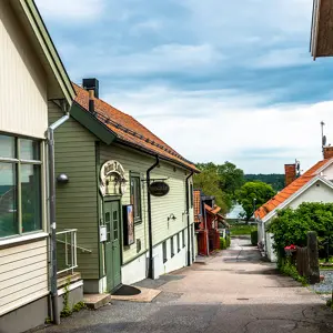 artikel bild