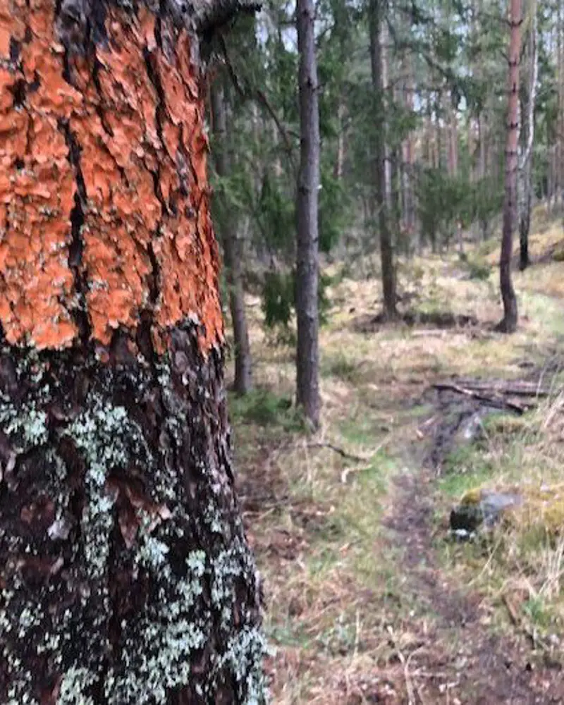 företagsbild